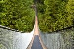 Подвесной мост и парк Капилано в Ванкувере / Фото: www.capbridge.com