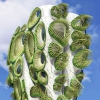 Органическая губка - жилой многоэтажный дом будущего