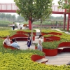 В Китае появился новый благоухающий сад на месте бывшей свалки