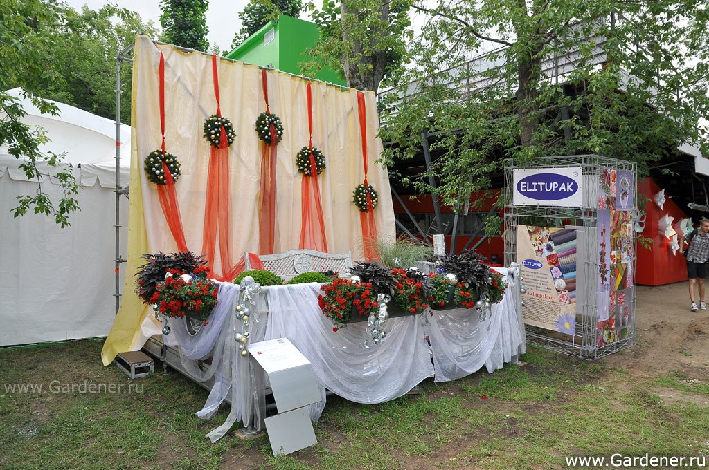 http://gardener.ru/gallery/2012/moscow_flower_show/105.jpg