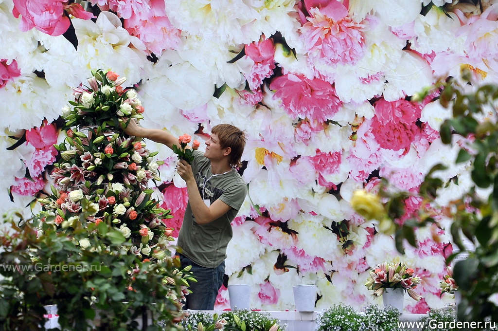 http://gardener.ru/gallery/2012/moscow_flower_show/56.jpg