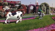 Themebuilders  приняла участие в оформлении Парка цветов в Дубаи фигурами из серии Funny animals, цветами из серии Flowers и др..
