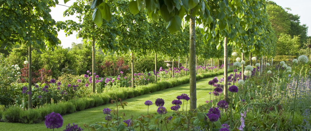 Клив Вест и Ян Смит стали победителями ежегодного конкурса Общества садовых дизайнеров Великобритании