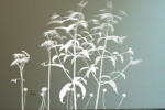 'Живые' светящиеся растения Саймона Хейджденса