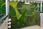 Зеленая стена в аэропорте Эдмонтона / Проект: Green Over Grey