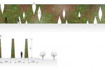 Живые изгороди, формирующие стены 'Звездного Лабиринта' | Рис: LOLA