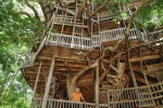 Cамый большой в мире "дом на дереве"