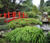 Irish National Stud's Japanese Gardens