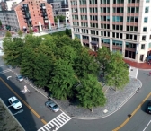 Building a Sustainable Urban Grove at Central Wharf Plaza