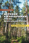Деревья и кустарники лесов Центральной России: Атлас-определитель