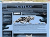 ”Catlas”. Кошки серебристо мраморного окраса
